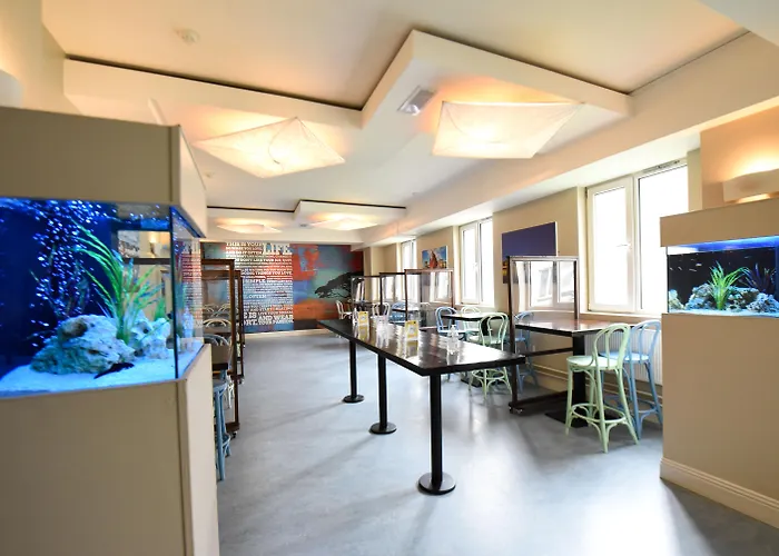 Kinlay Hostel Eyre Square